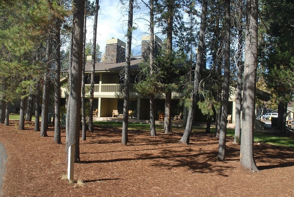 The Pines At صنريفير المظهر الخارجي الصورة